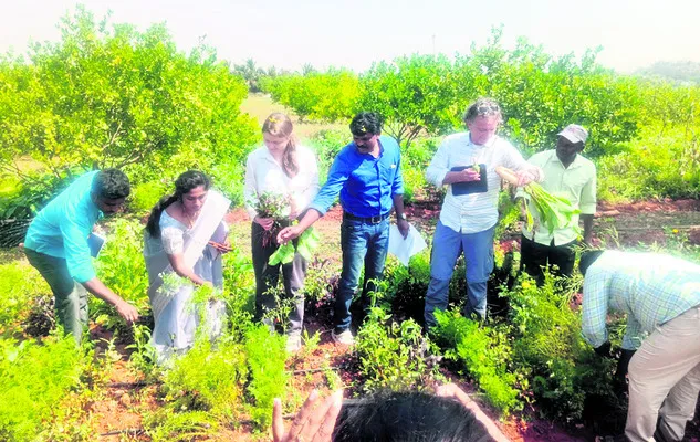 ప్రకృతి వ్యవసాయం అద్భుతం 