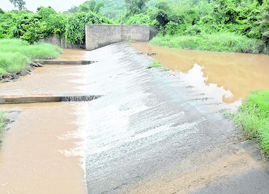 గుమ్మిడిగెడ్డపై గుడ్డి నమ్మకం..! 