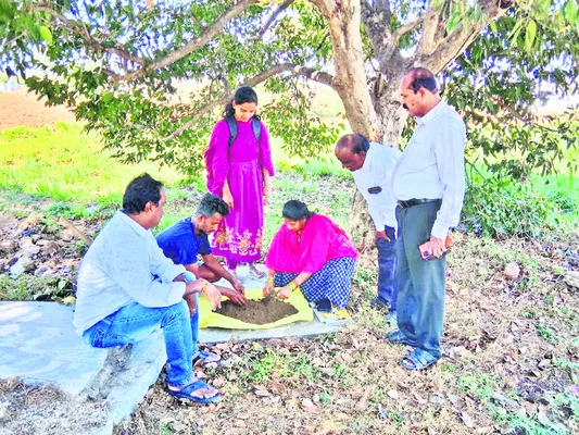 భూసార పరీక్షల ఆధారంగా ఎరువులు వాడాలి 