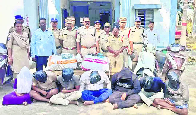 గంజాయి తరలిస్తున్న ఏడుగురు అరెస్టు 