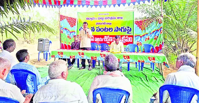 ఉద్యాన పంటలతో సుస్థిర ఆదాయం