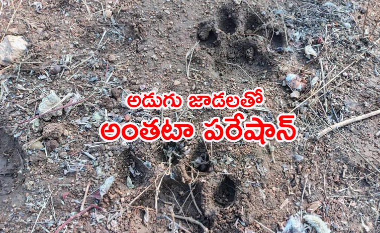 హే.. గిదెక్కడి పులి రా భయ్‌!