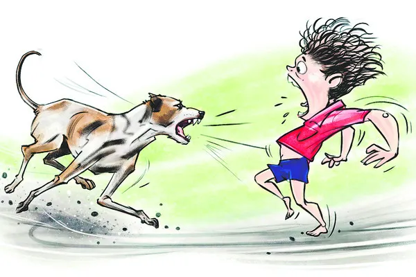 శనివారం శ్రీ 7 శ్రీ ఫిబ్రవరి శ్రీ 2026