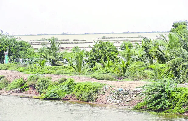 దొంగే దొంగ అన్నట్టు!