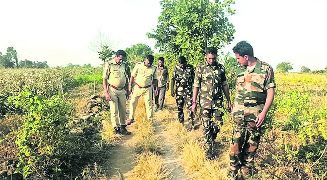పులి కదలికలపై నిఘా