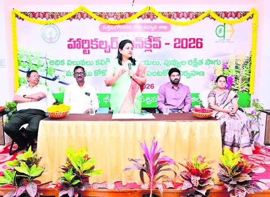 ఉద్యాన పంటలపై దృష్టి సారించాలి 