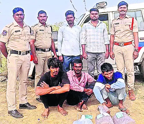 3.300 కిలోల గంజాయి పట్టివేత