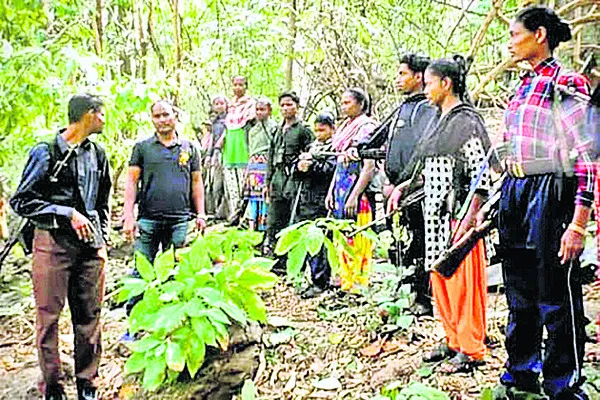 19 మంది మావోల లొంగుబాటు 