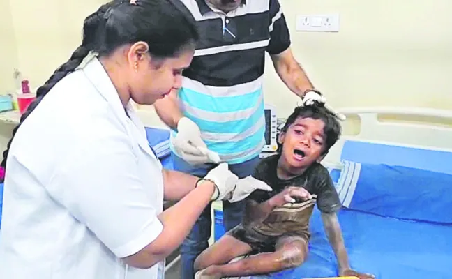 ఐదేళ్ల బాలుడిపై కుక్కల దాడి