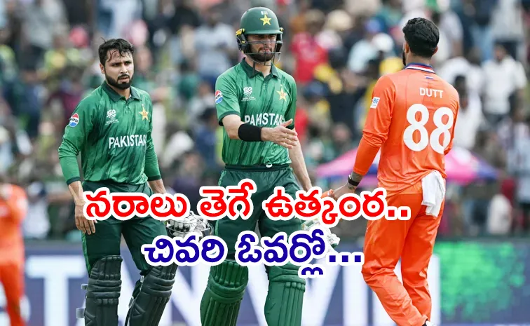 T20 WC 2026: Pakistan Beat Netherlands In Last Over Thirller