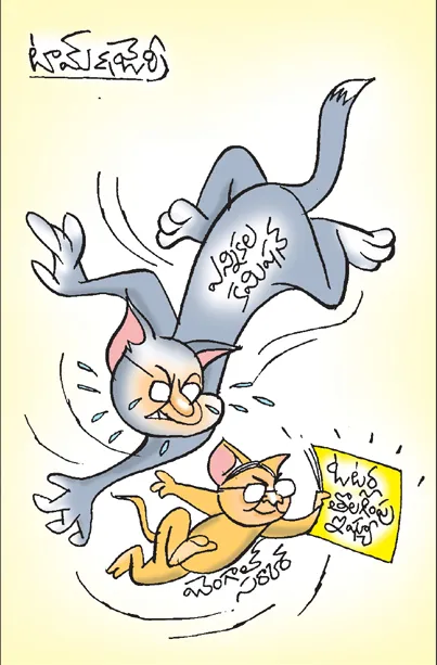 టామ్ & జెర్రీ 