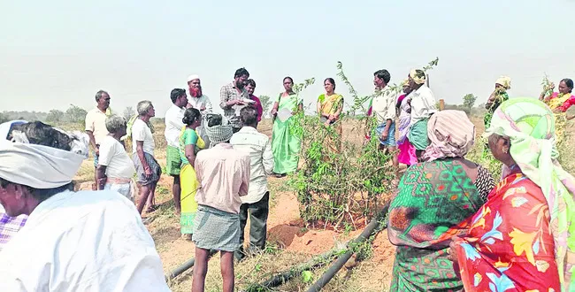 ఉపాధి పనుల్లో  కూలీల సంఖ్య పెంచాలి 