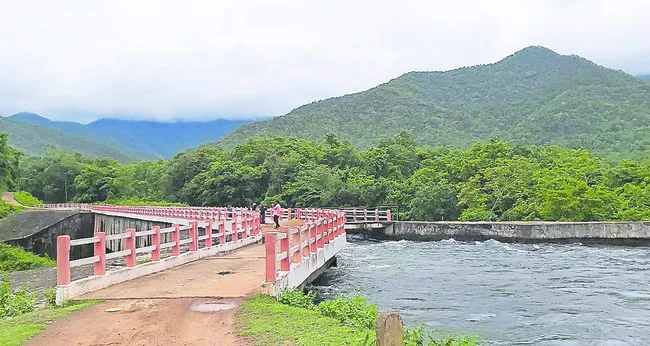 ‘పుష్ప’తో ఒక్కసారిగా క్రేజ్‌ 
