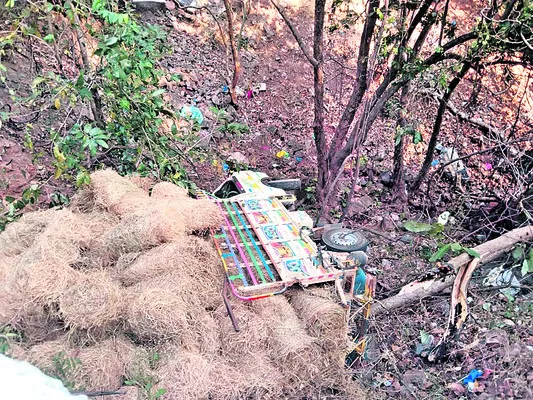 నల్లమల లోయలో బొలెరో వాహనం బోల్తా