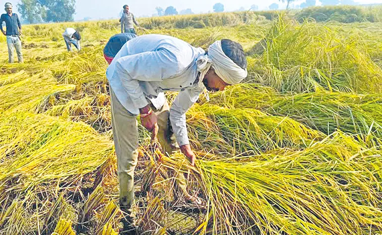 రైతుకు భరోసానివ్వని బడ్జెట్‌