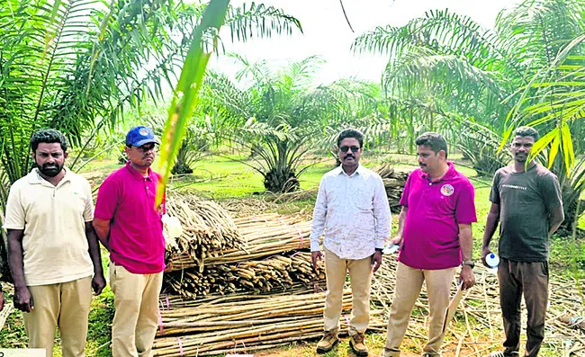 ● తరలింపులో అటవీ శాఖ  ఉద్యోగి హస్తం.? ● స్థానికుల సమాచా