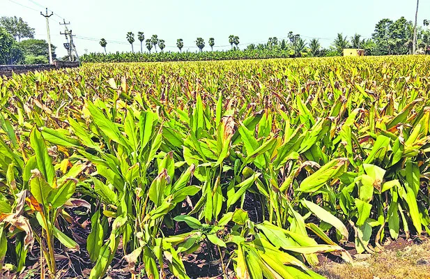 పెట్టుబడులు చేతికి అందేనా..? 