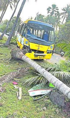 చెట్టును ఢీకొన్న  స్కూల్‌ బస్సు 