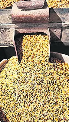 మిల్లర్లపై చర్యలకు రంగం సిద్ధం