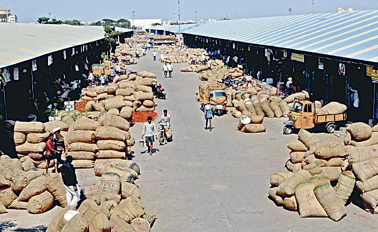 Chilli prices drop in Andhra pradesh