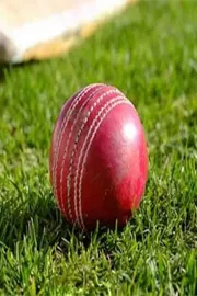 Indian Cricketer In Trouble 2 Days After T20 World Cup, Wife Files Complaint For Domestic Abuse