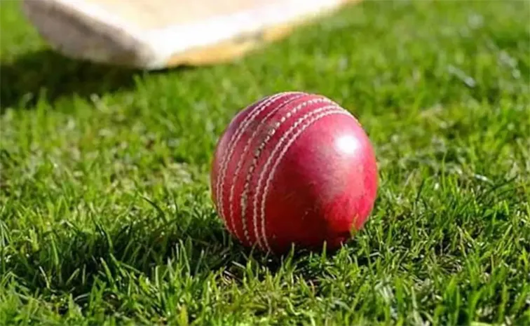 క్రికెటర్‌ అమిత్‌ మిశ్రాపై గృహహింస కేసు