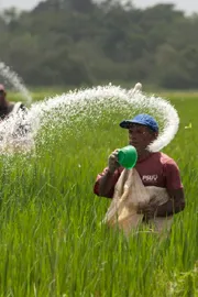 Iran–Israel Tensions Trigger Fertilizer Shock India Food Security at Risk