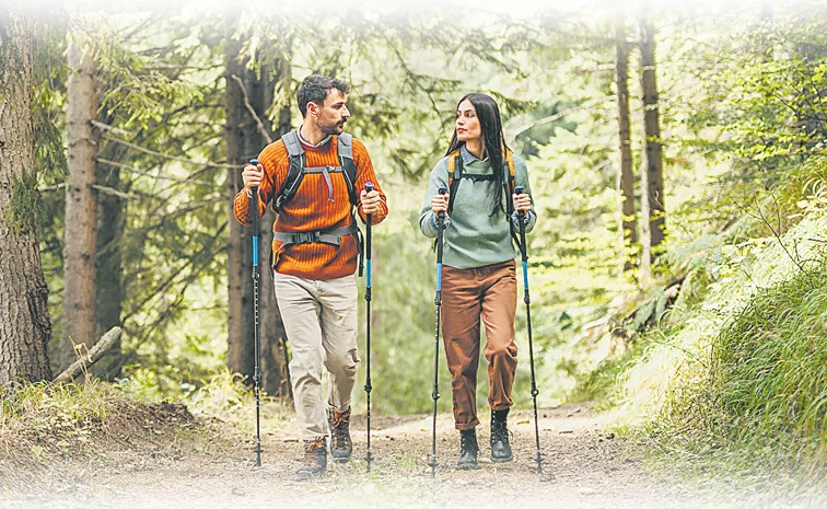 Alpine Divorce This term is currently trending