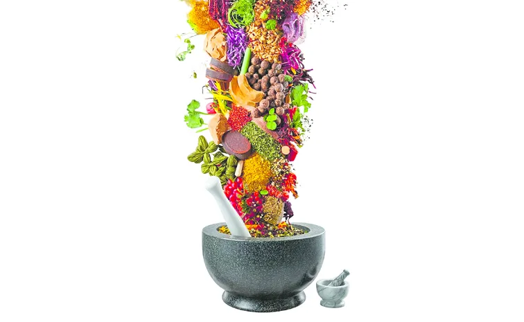 Easy cooking without gas