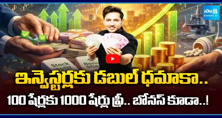 ఇన్వెస్టర్లకు డబుల్ ధమాకా.. 100 షేర్లకు 1000 షేర్లు ఫ్రీ..