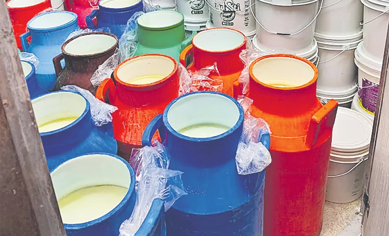 Hyderabad: పెరుగూ కల్తీ