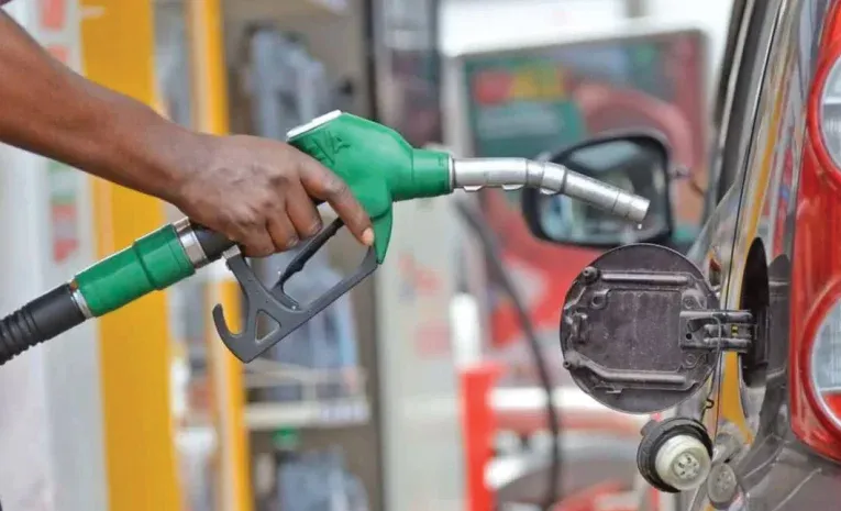 పెట్రోల్‌ ఎక్కడి నుంచి వస్తుందో తెలుసా?