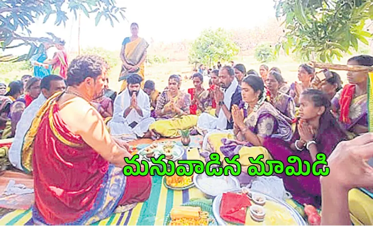 traditional tree marriage ritual performed for better mango harvest