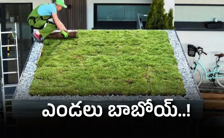 Hot summer How to keep rooof cool check here