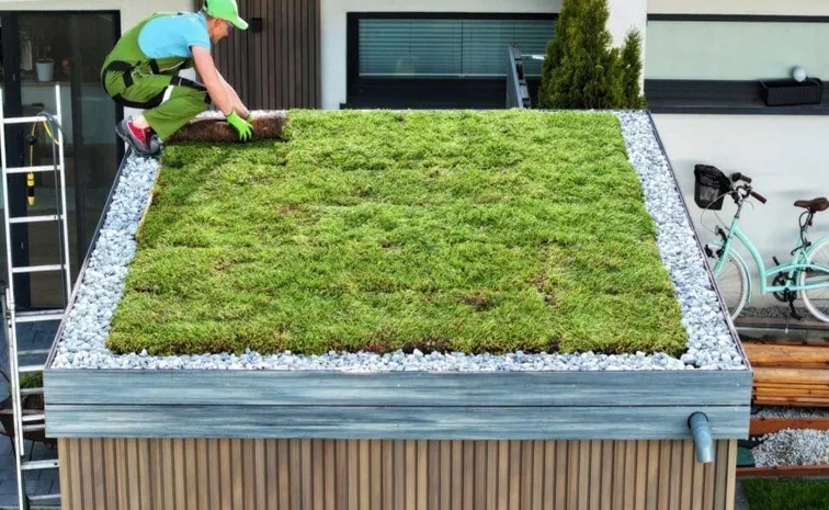 మండిస్తున్న ఎండలు, పైకప్పు చల్లగా ఇలా..!