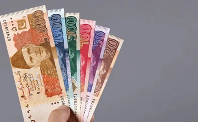 పాక్‌ ప్రభుత్వోద్యోగుల వేతనాల్లో కోత