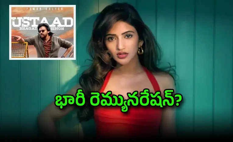 ‘ఉస్తాద్‌.. ’ కోసం శ్రీలీల అంత తీసుకుందా?