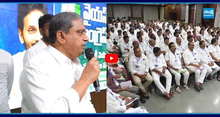 అసెంబ్లీ నియోజకవర్గ పరిశీలకులతో సజ్జల రామకృష్ణారెడ్డి కీలక భేటీ