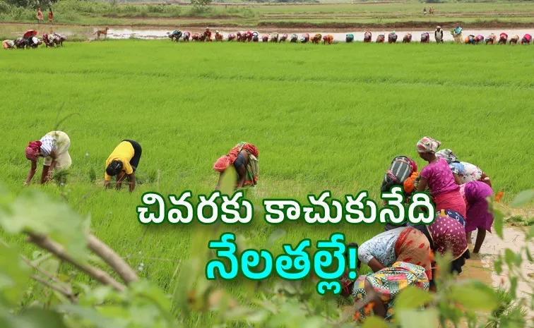 India Shift to Natural Farming Food Security Health Economy Climate Risks2