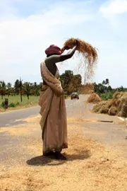India Shift to Natural Farming Food Security Health Economy Climate Risks