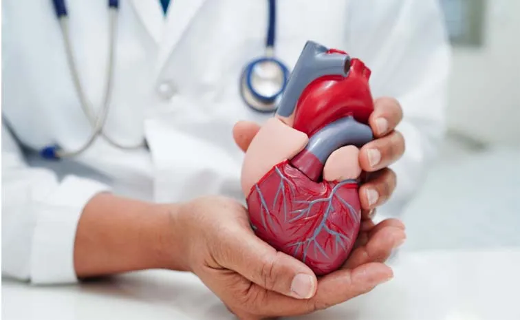Health Tips: Heart Surgeries: Types, Recovery Risks and Management