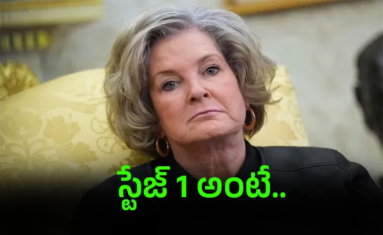 White House Chief Of Staff Susie Wiles Has Early-Stage Breast Cancer