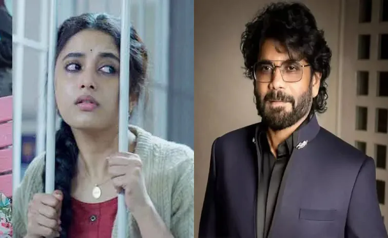 'ఒత్తిడిలో మెడిసిన్‌లా ఈ సినిమా..'  డైరెక్టర్‌పై నాగార్జున ప్రశంసలు
