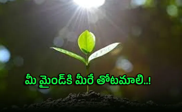 కొత్త ఆలోచనలను మనసులో ఎలా నాటాలి?