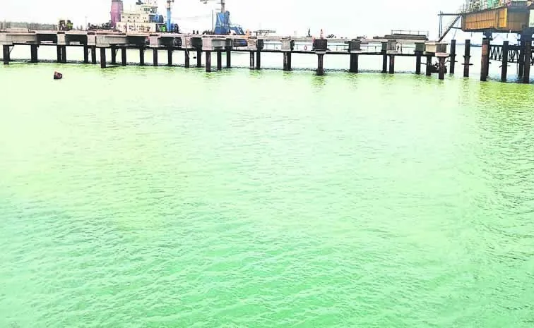 పోర్టుకు సర్కారు పోటు