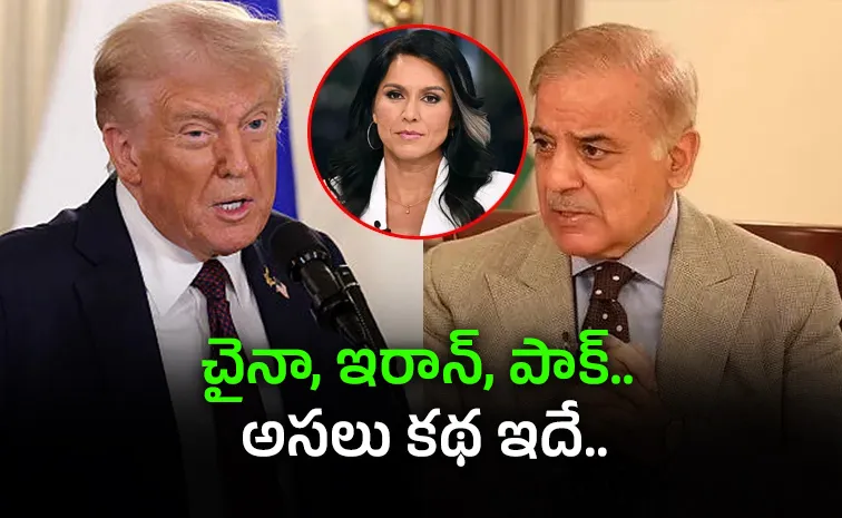 Intel chief Tulsi Gabbard Sensational Comments On Pakistan And Iran