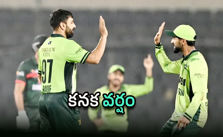 వాళ్ల ముందు మోకరిల్లారు: పీసీబీపై మాజీ క్రికెటర్‌ ఫైర్‌