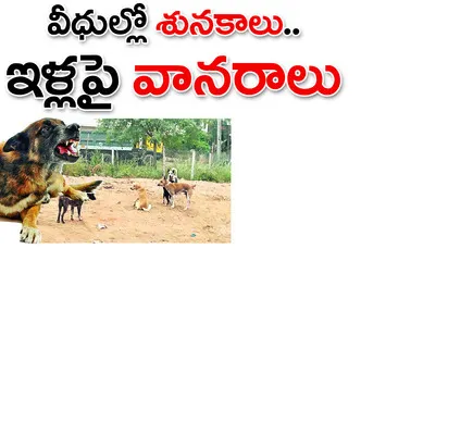 ఏడేళ్