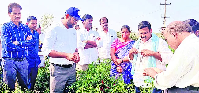 సేంద్రియం.. సత్ఫలితం