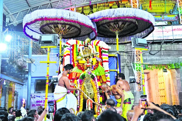 హంస వాహనంపై వీణాపాణి 